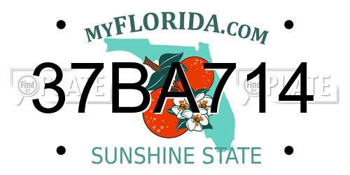 37BA714 Florida License Plate