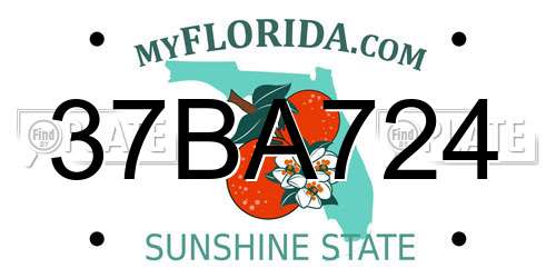 37BA724 Florida License Plate