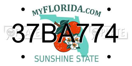 37BA774 Florida License Plate
