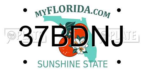 37BDNJ Florida License Plate