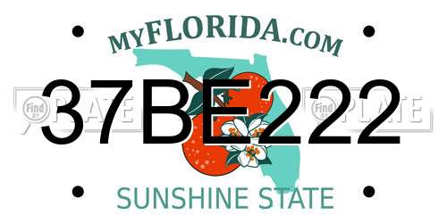 37BE222 Florida License Plate