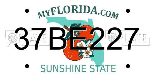 37BE227 Florida License Plate