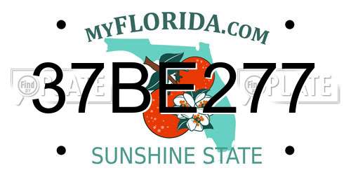 37BE277 Florida License Plate