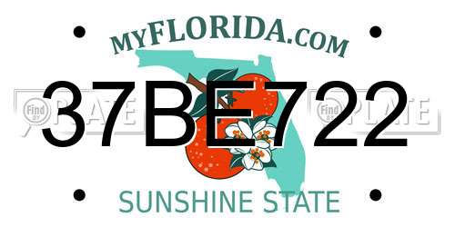 37BE722 Florida License Plate