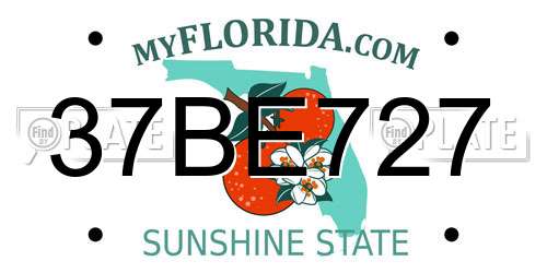 37BE727 Florida License Plate
