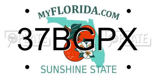 37BGPX Florida License Plate