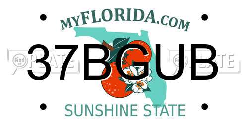 37BGUB Florida License Plate