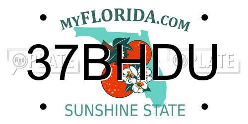 37BHDU Florida License Plate