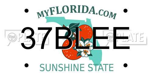37BLEE Florida License Plate