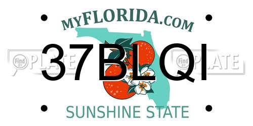 37BLQI Florida License Plate