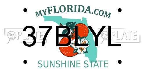 37BLYL Florida License Plate