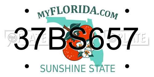37BS657 Florida License Plate