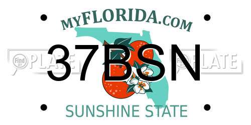 37BSN Florida License Plate