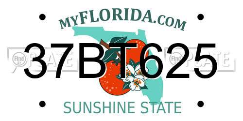 37BT625 Florida License Plate