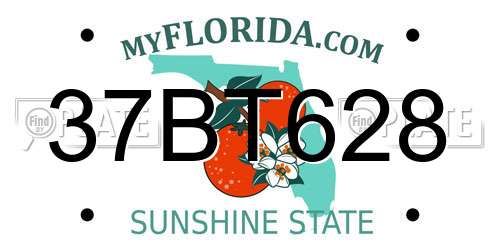 37BT628 Florida License Plate