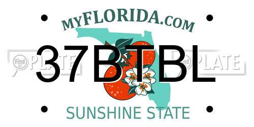37BTBL Florida License Plate