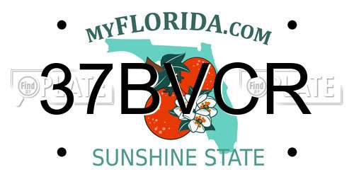 37BVCR Florida License Plate