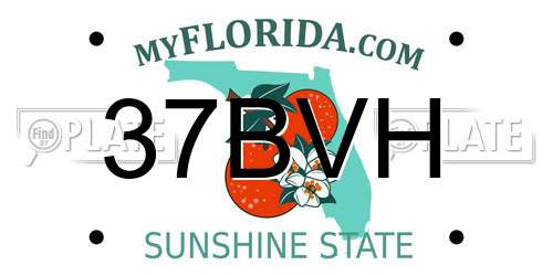 37BVH Florida License Plate