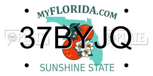 37BYJQ Florida License Plate