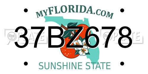 37BZ678 Florida License Plate