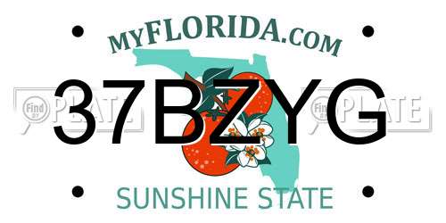 37BZYG Florida License Plate
