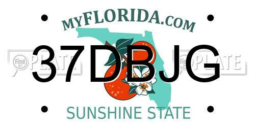 37DBJG Florida License Plate