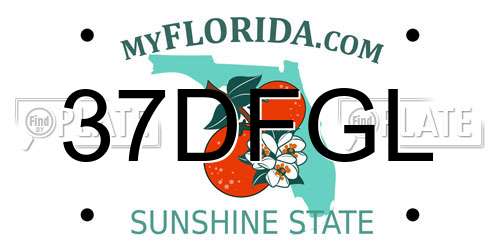 37DFGL Florida License Plate