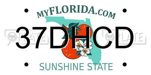 37DHCD Florida License Plate