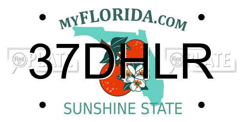 37DHLR Florida License Plate