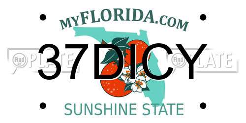 37DICY Florida License Plate