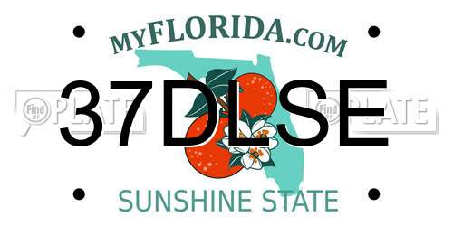 37DLSE Florida License Plate