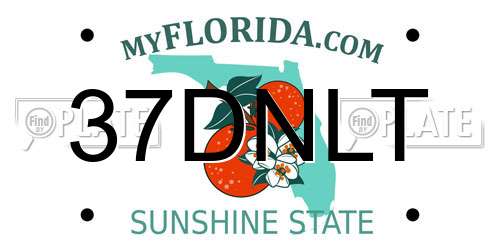 37DNLT Florida License Plate