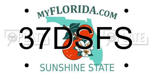 37DSFS Florida License Plate