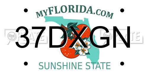 37DXGN Florida License Plate