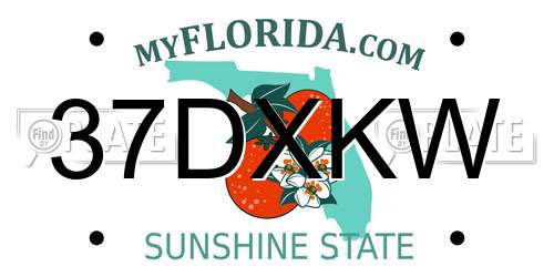 37DXKW Florida License Plate