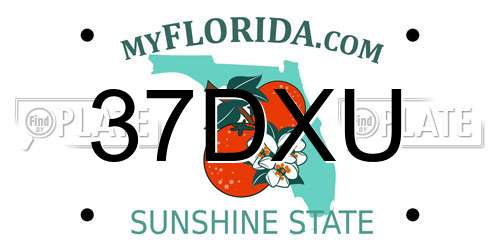 37DXU Florida License Plate