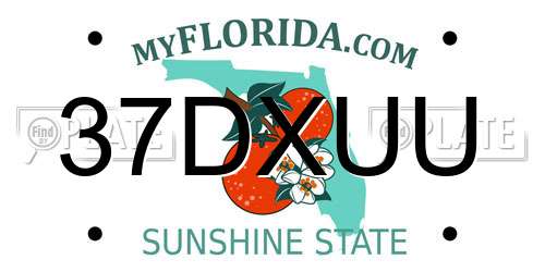 37DXUU Florida License Plate