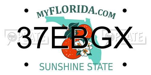 37EBGX Florida License Plate