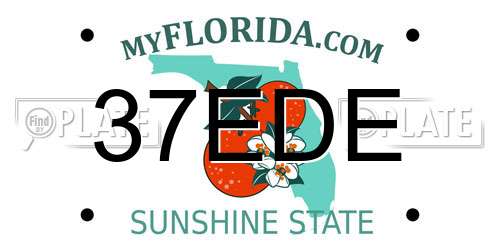 37EDE Florida License Plate