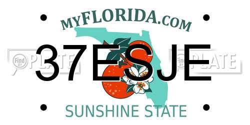 37ESJE Florida License Plate