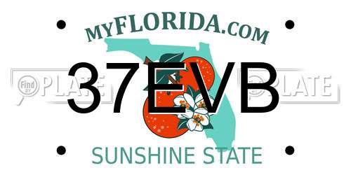 37EVB Florida License Plate