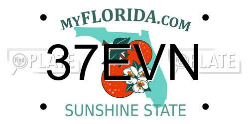 37EVN Florida License Plate