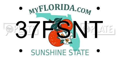 37FSNT Florida License Plate