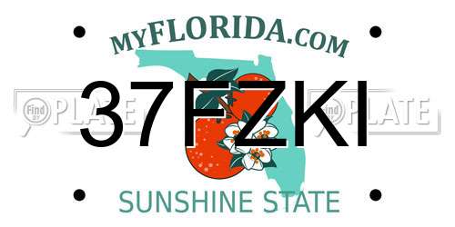 37FZKI Florida License Plate