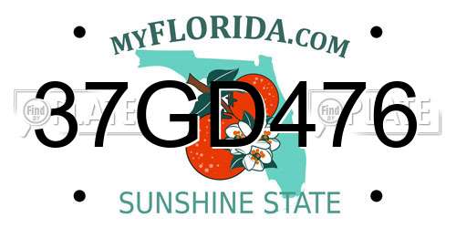 37GD476 Florida License Plate