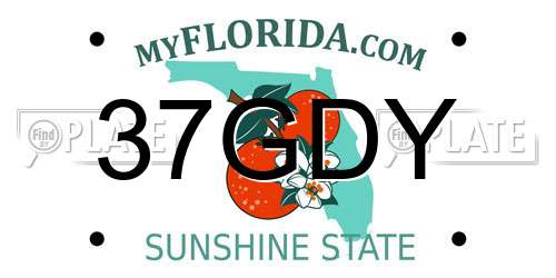 37GDY Florida License Plate