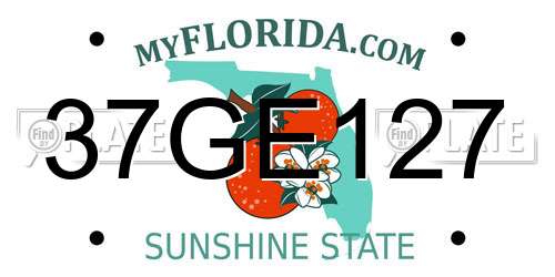 37GE127 Florida License Plate
