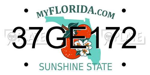 37GE172 Florida License Plate