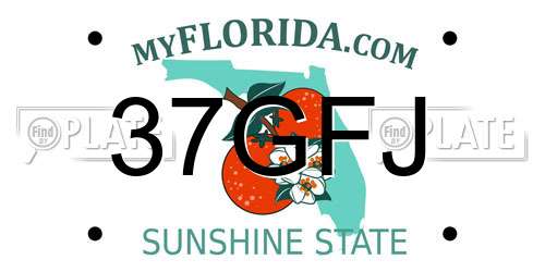 37GFJ Florida License Plate