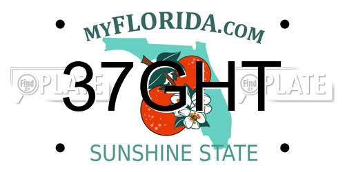 37GHT Florida License Plate